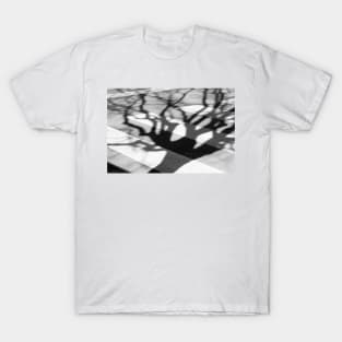 zebra crossing, tree shadow T-Shirt
